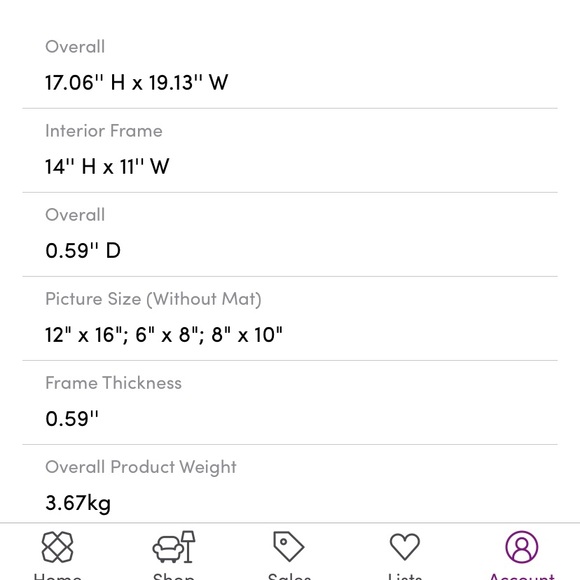 Wayfair Gallery Perfect Frames - Picture 8 of 10